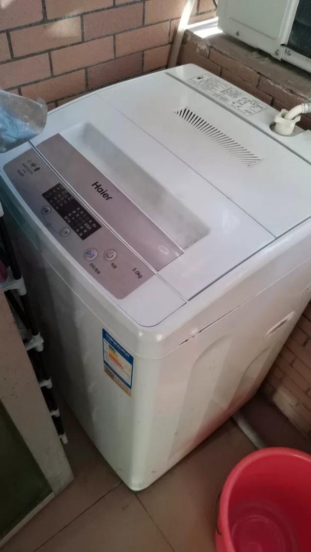 海尔小神童洗衣机5公斤